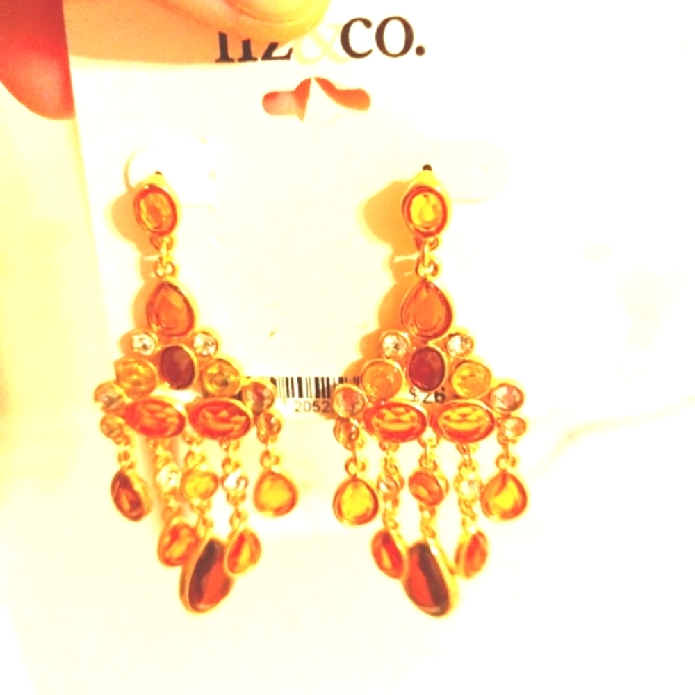 Liz & co NWT orange and brown dangle earrings